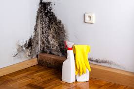 Biohazard Mold Removal in Pine Bush, NY